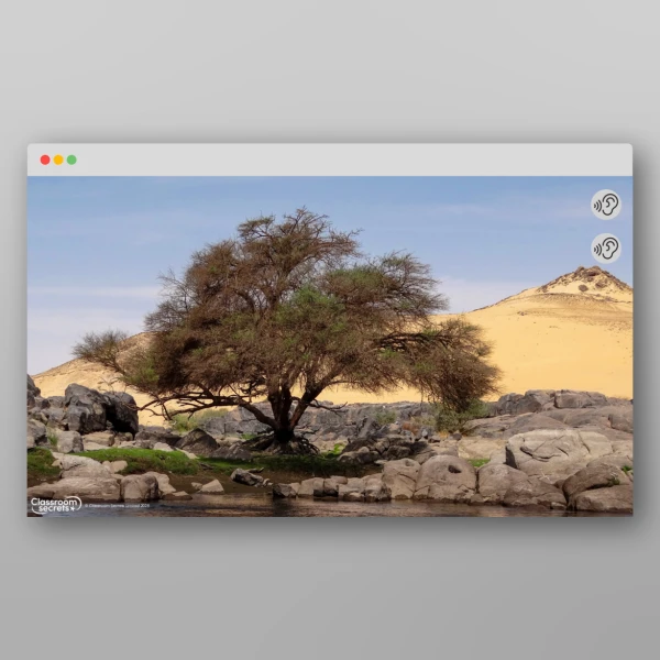 An image of the Time Travel Adventure - The Ancient Egyptians Soundscape Resource