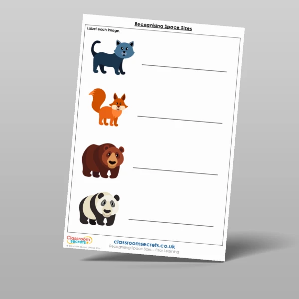 An image of the Recognising Space Sizes Prior Learning Resource