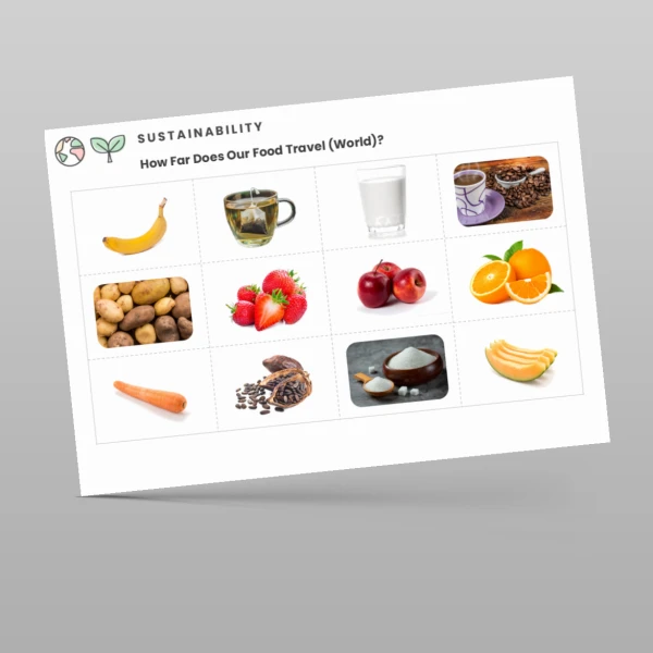 An image of the Fairtrade Fortnight How Far Does Our Food Travel? Worksheet Resource