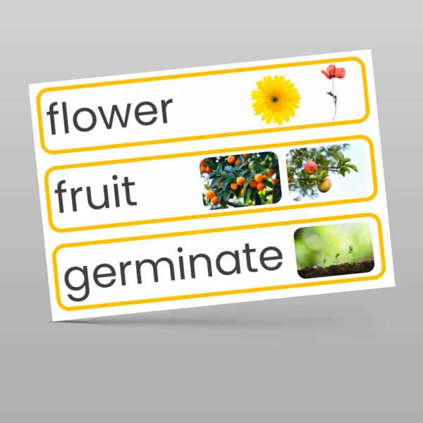 An image of the Plants Display Pack Resource