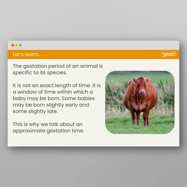 An image of the Lesson 6: Are Gestation Periods the Same in All Mammals? Resource