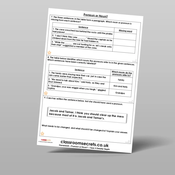 An image of the Pronoun or Noun? Homework Resource