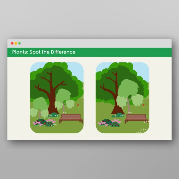 An image of the Plants Visual Discrimination Activities Resource