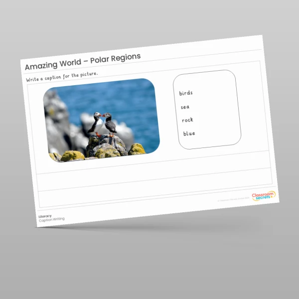 An image of the Amazing World - Polar Regions Literacy Activities Resource