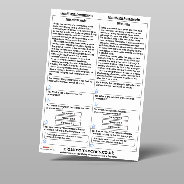 An image of the Identifying Paragraphs Varied Fluency Resource