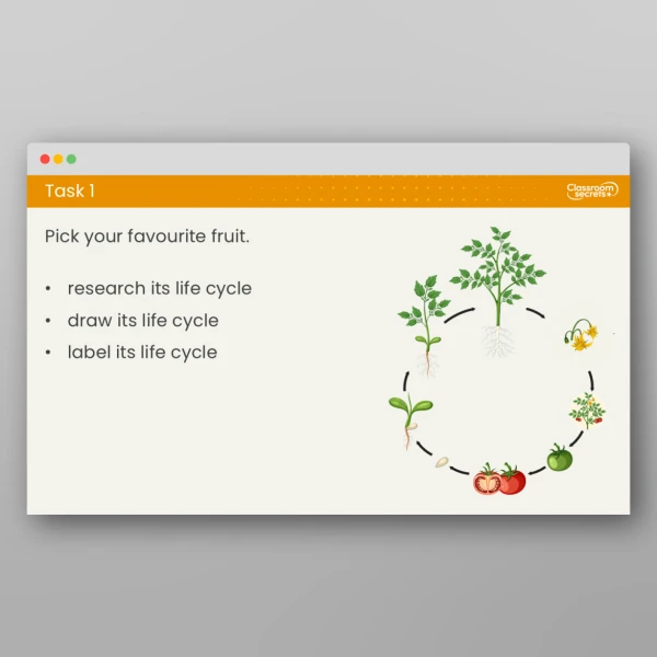 An image of the Lesson 5: How Do Different Plants Grow? Resource