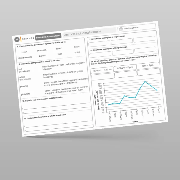 An image of the Animals including Humans Post-Unit Assessment Resource