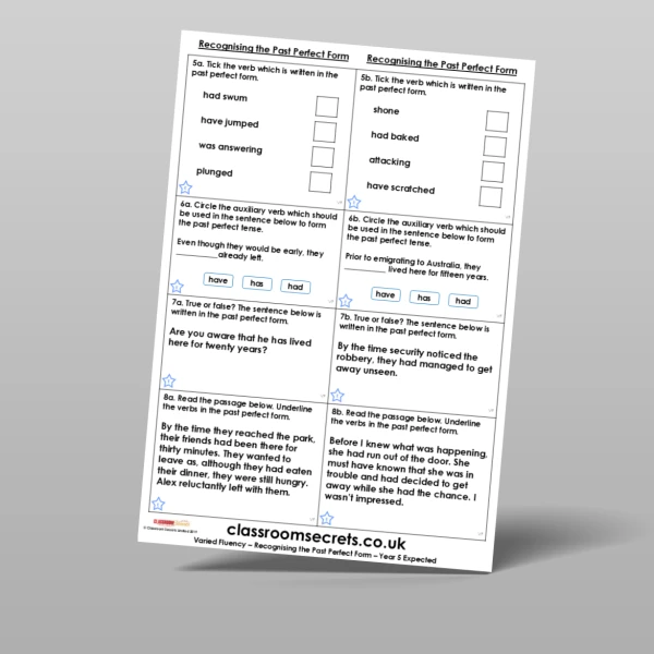 An image of the Recognising the Past Perfect Form Varied Fluency Resource