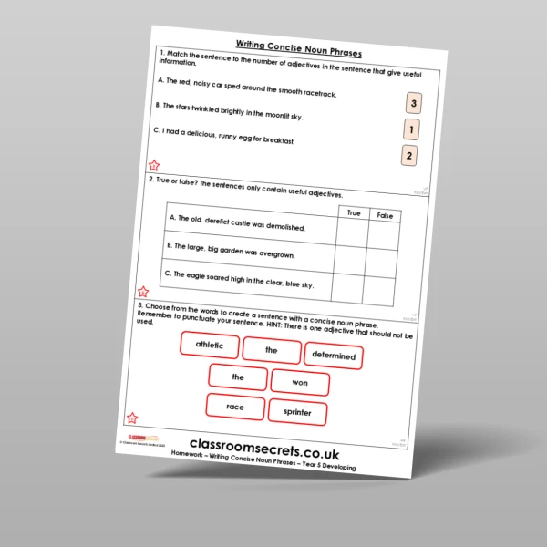 An image of the Writing Concise Noun Phrases Homework Resource
