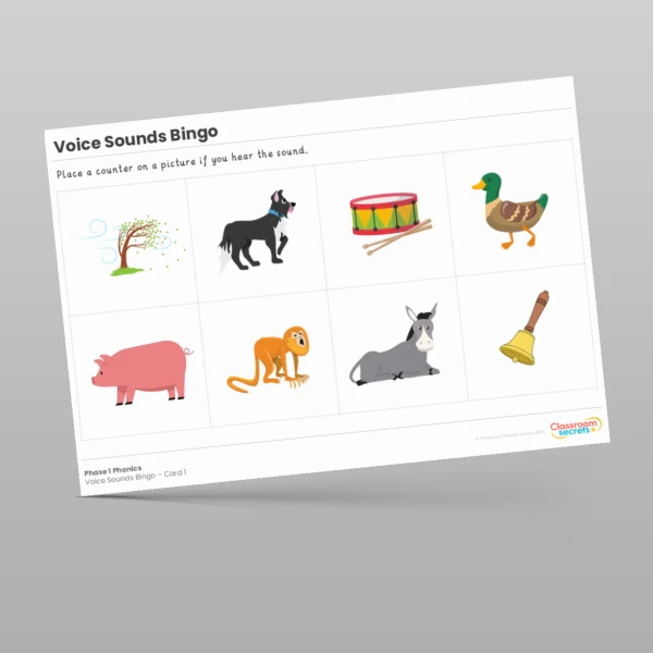 An image of the Phase 1 Phonics Voice Sounds Bingo Cards Resource