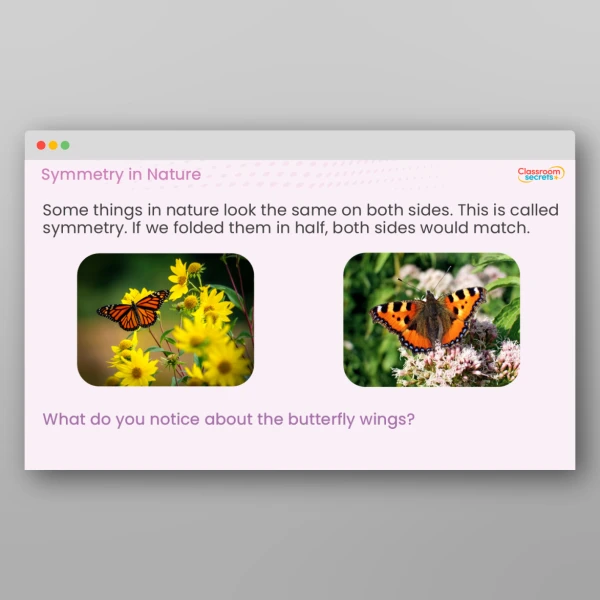 An image of the Amazing Maths in Nature PPT Resource