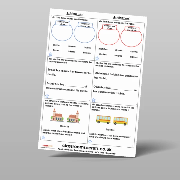 An image of the Adding ‘-es’ Application and Reasoning Resource