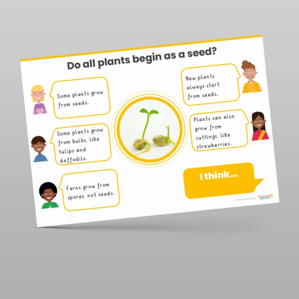 An image of the Plants Concept Cartoons Resource