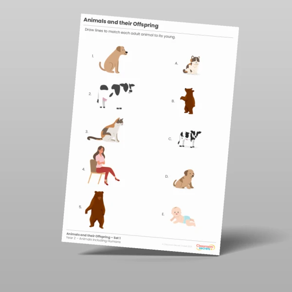An image of the Animals and their Offspring Activity Resource