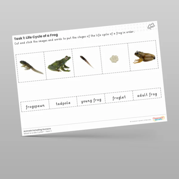 An image of the Lesson 2: Life Cycle of a Frog Worksheet Resource