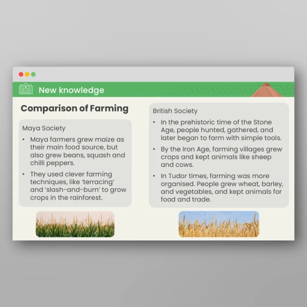 An image of the Lesson 6: How Did Maya Society Contrast with British Society? PPT Resource