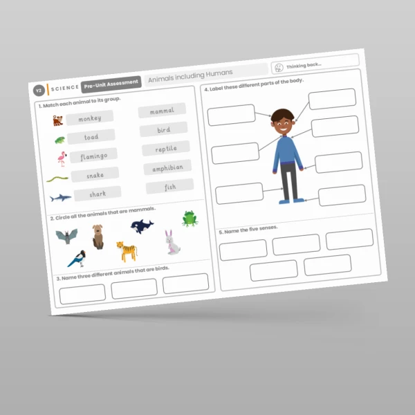 An image of the Animals including Humans Pre-Unit Assessment Resource