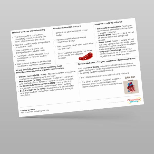 An image of the Animals including Humans Science at Home Resource