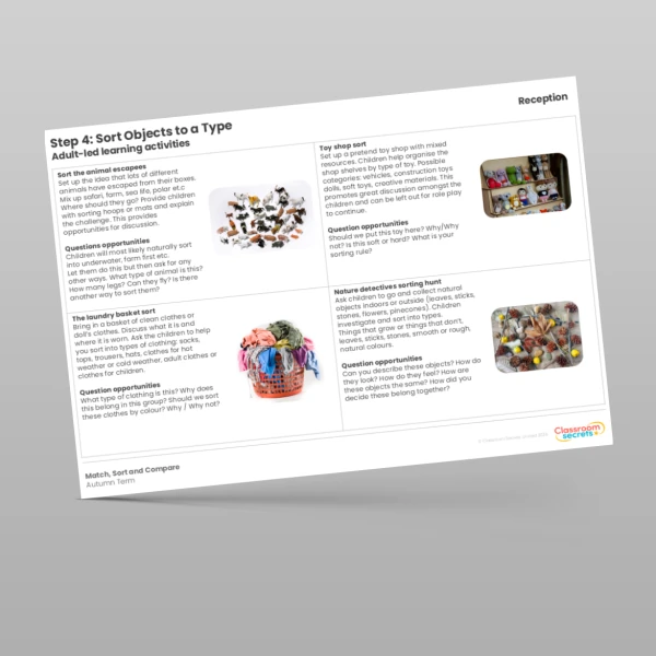 An image of the WR Maths Aligned Planning Reception Step 4 Sort Objects to a Type Resource