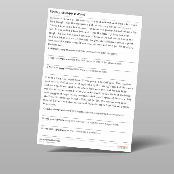 An image of the Find and Copy a Word Reading Test Practice Resource