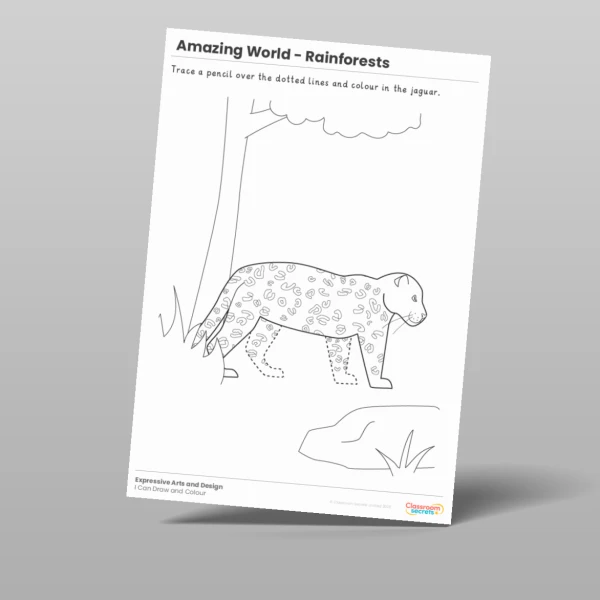 An image of the Amazing World - Rainforests I Can Draw and Colour Resource