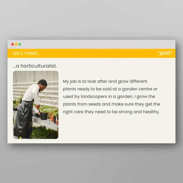 An image of the Lesson 2: What are Seeds? Investigation Resource