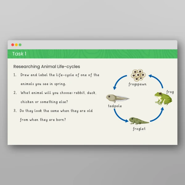 An image of the Spring and Summer Geography PPT Resource
