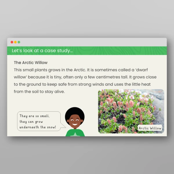 An image of the Comparing Plants in Hot and Cold Regions Geography PowerPoint Resource