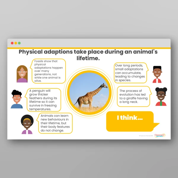 An image of the Evolution and Inheritance Concept Cartoons Resource