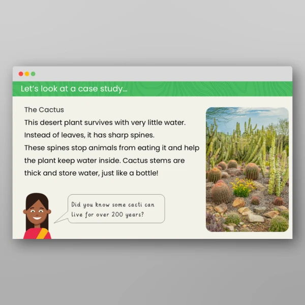 An image of the Comparing Plants in Hot and Cold Regions Geography PowerPoint Resource