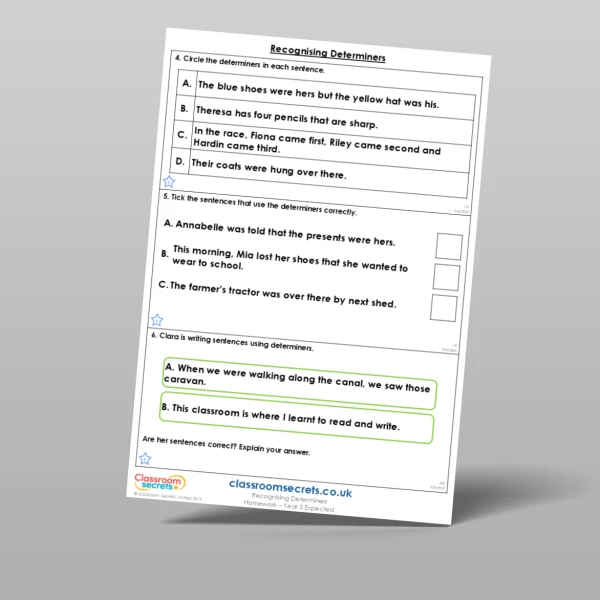 An image of the Recognising Determiners Homework Resource