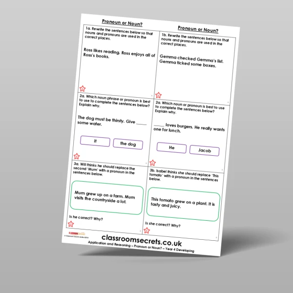 An image of the Pronoun or Noun? Application and Reasoning Resource