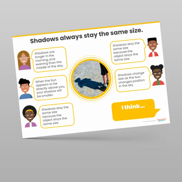 An image of the Light and Shadows Concept Cartoons Resource