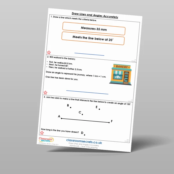An image of the Draw Lines and Angles Accurately Homework Resource