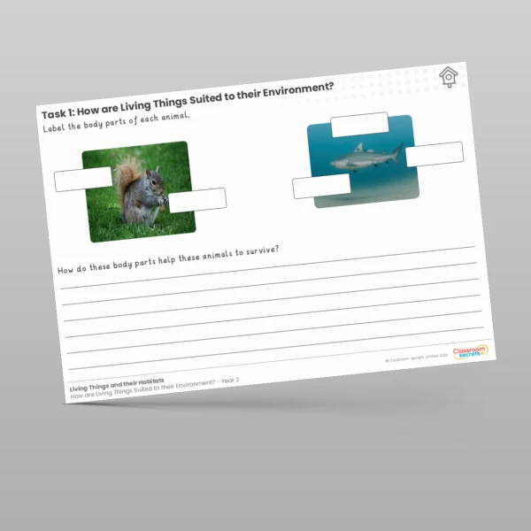 An image of the Lesson 3: Label the Body Parts Worksheet Resource