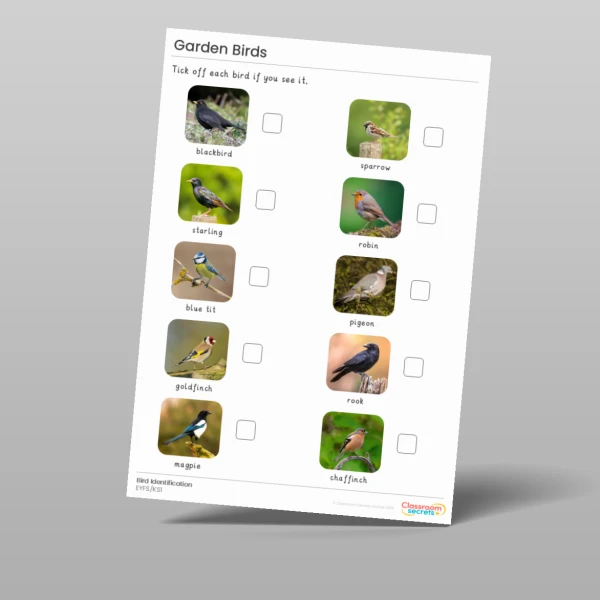 An image of the Bird Identification Checklist Resource