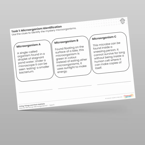 An image of the Lesson 5: Microorganism Identification Worksheet Resource