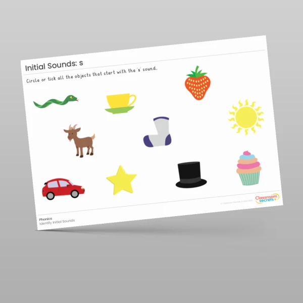 An image of the Initial Sounds Worksheet: s Resource