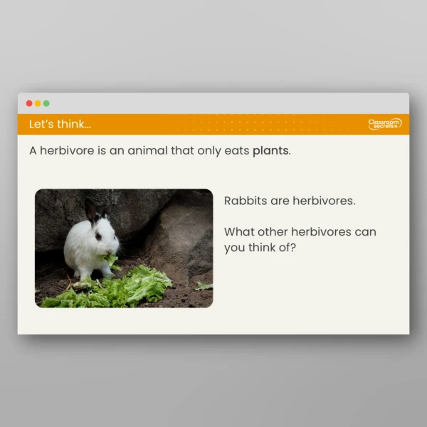 An image of the Lesson 3: What Are Carnivores, Herbivores and Omnivores? Resource