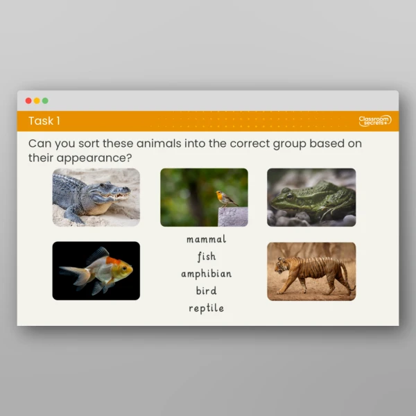 An image of the Lesson 4: How Can We Recognise Different Animals? Resource