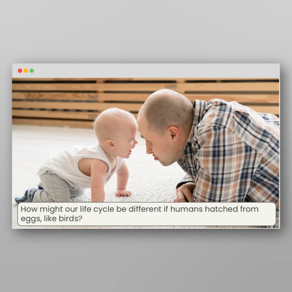 An image of the Lesson 5: Are Animal Life Cycles All the Same? Resource
