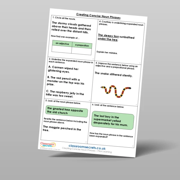 An image of the Creating Concise Noun Phrases Prior Learning Resource
