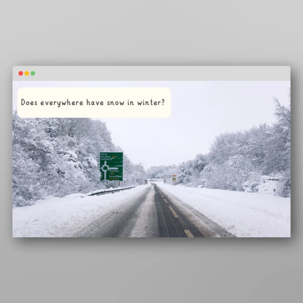 An image of the Winter I Wonder Discussion Prompts Resource