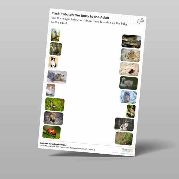 An image of the Lesson 1: How do Animals and Humans Change Over Time? Worksheet Resource