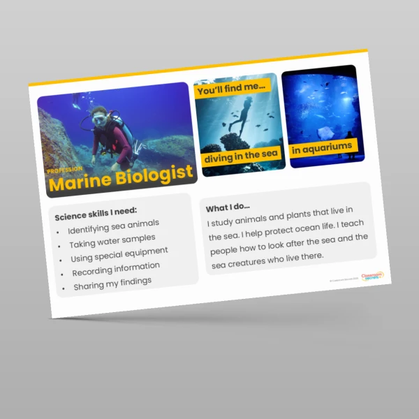 An image of the Animals including Humans Display Pack Resource