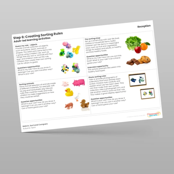 An image of the WR Maths Aligned Planning Reception Step 6 Creating Sorting Rules Resource