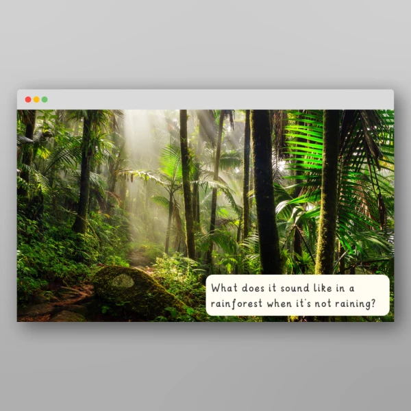 An image of the Amazing World - Rainforest I Wonder Discussion Prompts Resource