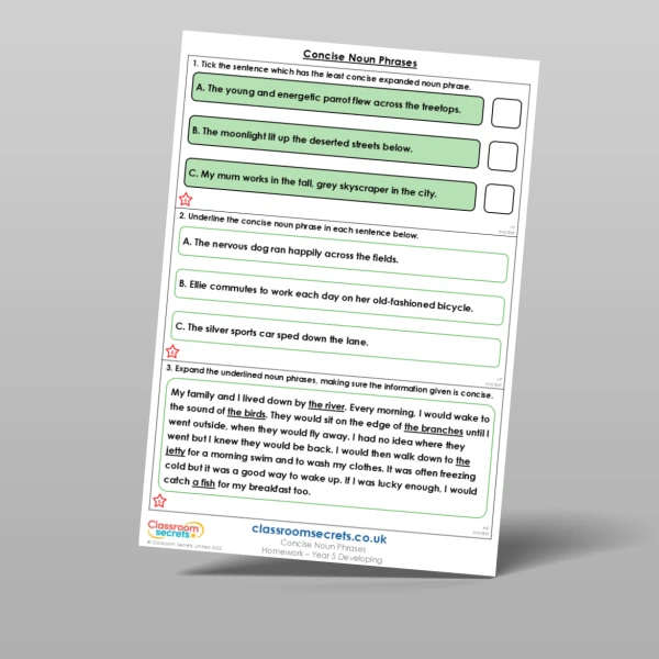 An image of the Concise Noun Phrases Homework Resource