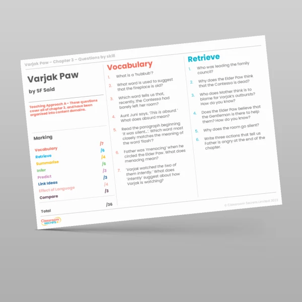 An image of the Reading Skills - Varjak Paw - Chapter 3 Resource