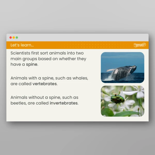 An image of the Lesson 1: How Can We Group Animals? Resource